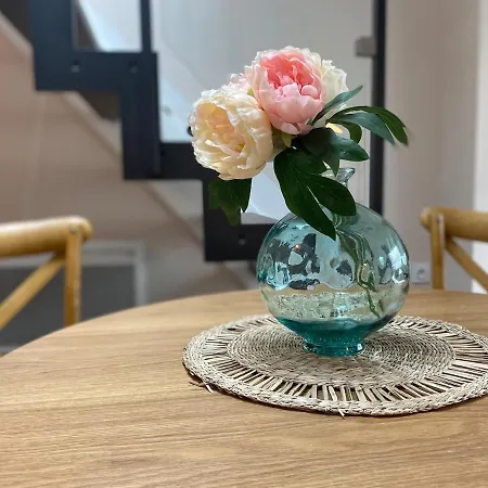 Apartment Stylish & Cosy Mezzanine In Historical Old Town Annecy
